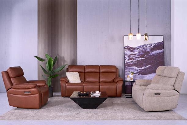 Leather Sofas